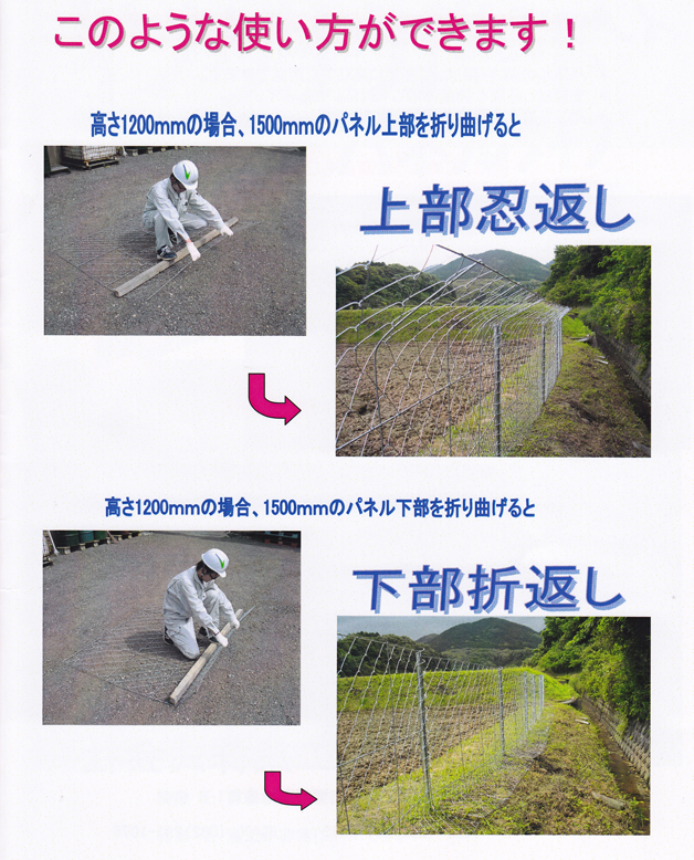 カゴ枠