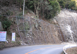 ミニ支柱式落石防護網